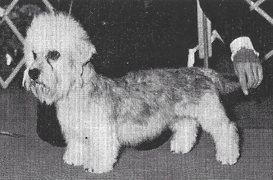 Specialty Winner 1978