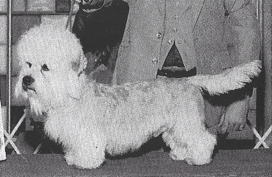 Specialty Winner 1984