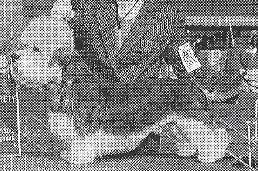 Specialty Winner 1992