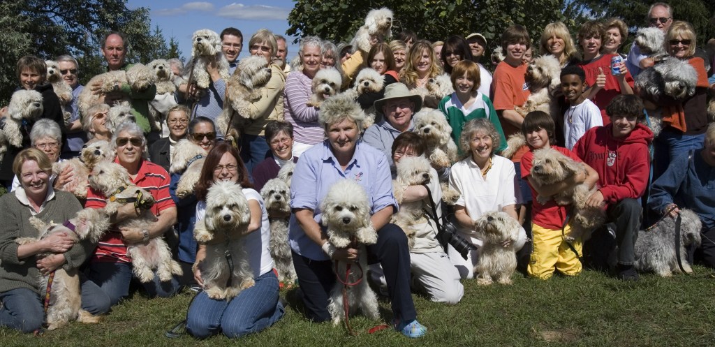 Dandie Dinmont Terrier Club of Canada group photo with their Dandies