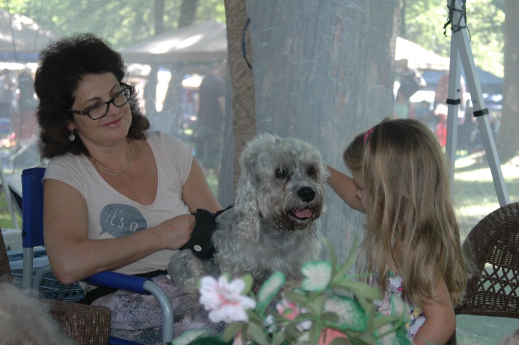 Little girl petting Dandie