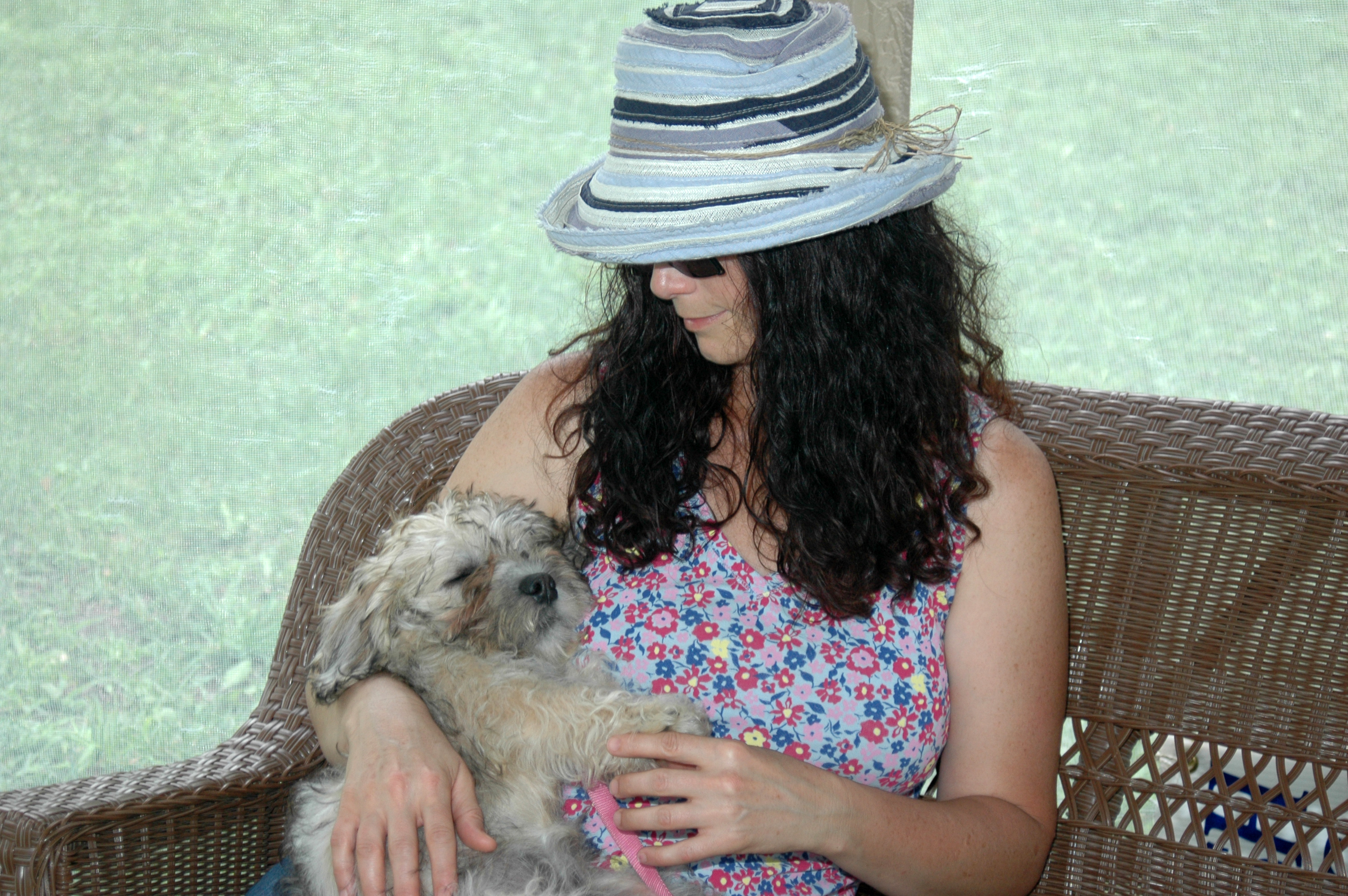 Dandie sleeping like a baby